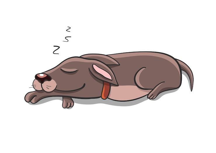 Vector perro durmiendo comodidad en el hogar ilustración vectorial