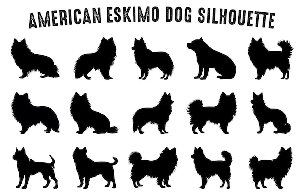 Perro esquimal americano vector silueta conjunto perro esquimal siluetas negras aisladas sobre fondo blanco