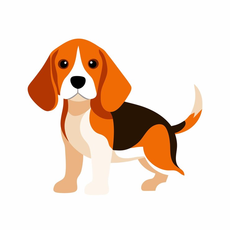 Vector un perro está sentado frente a un fondo blanco