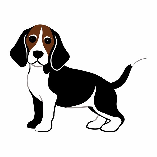 un perro está sentado frente a un fondo blanco
