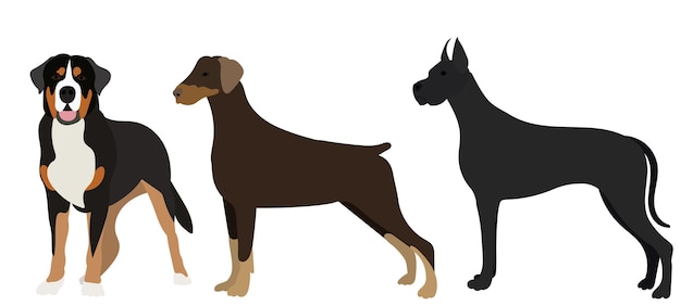 Perro en estilo plano, vector, aislado