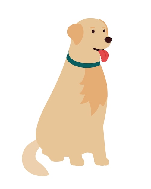 Perro golden retriever, sentado. ilustración vectorial plana