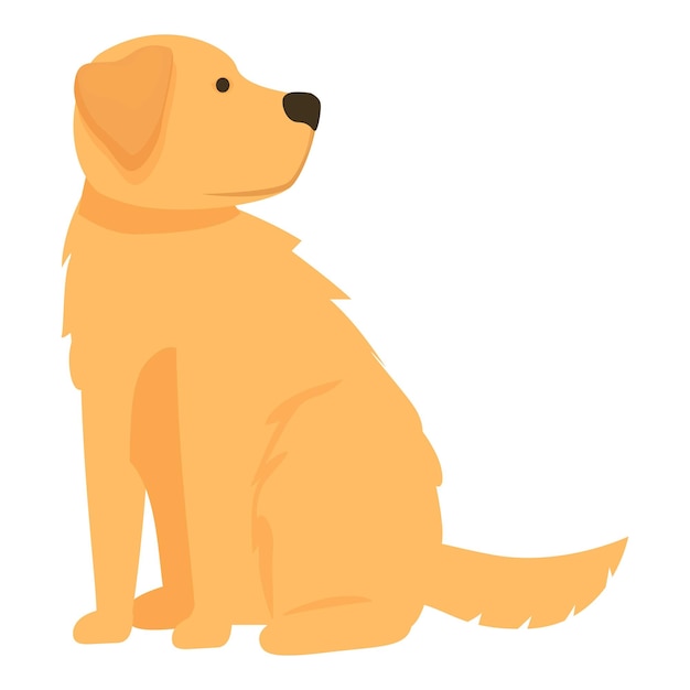 Perro golden retriever sentado y mirando hacia la derecha