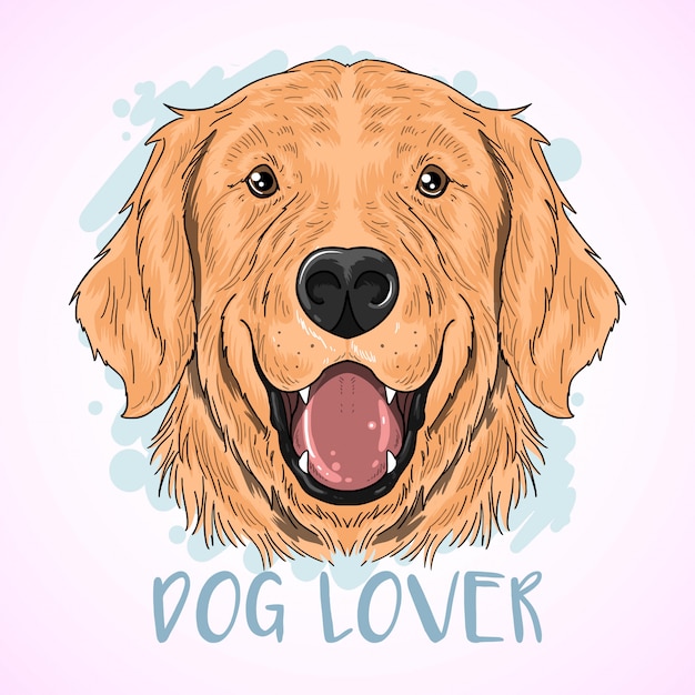 Vector perro golden retriever