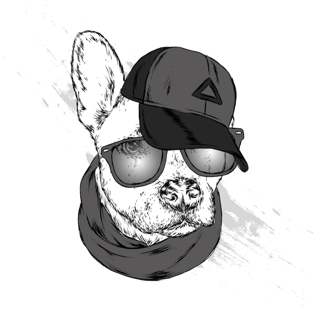 Perro con gorra y gafas