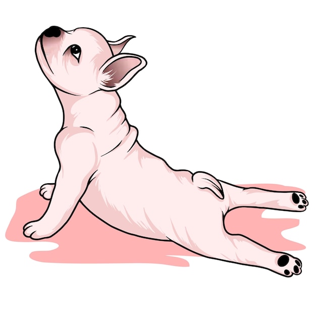 perro haciendo yoga