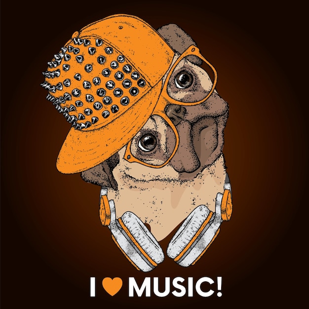 Perro hipster fresco en ropa elegante