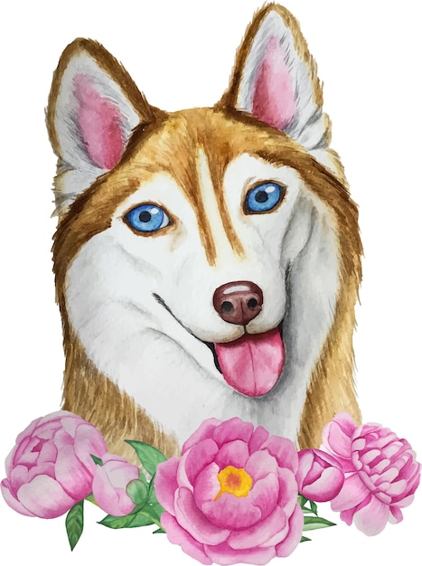 Perro Husky con peonías Vector de acuarela