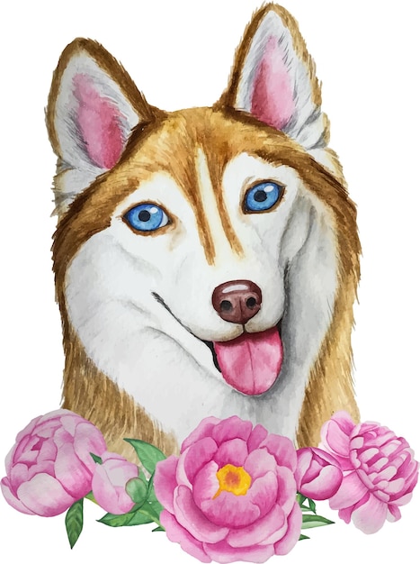 Perro husky con peonías vector de acuarela