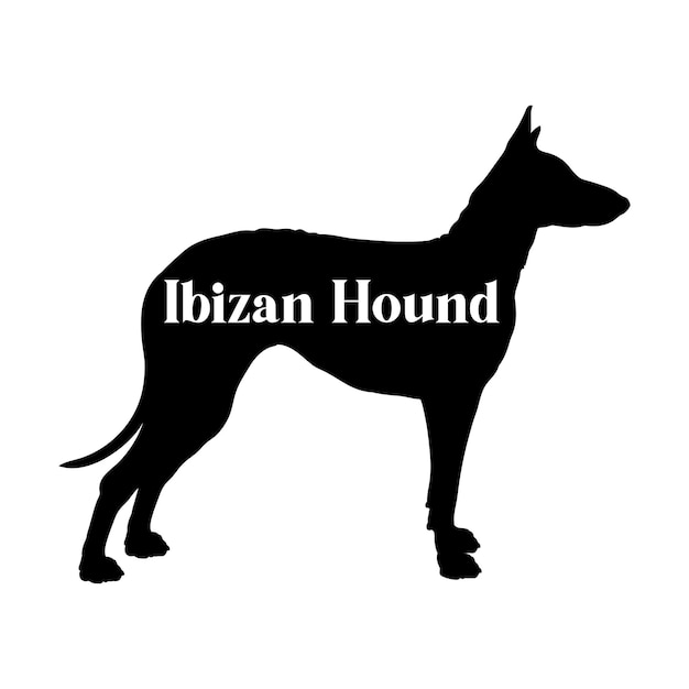 El perro de Ibiza es una silueta de perro de razas de logotipo de perro monograma vector