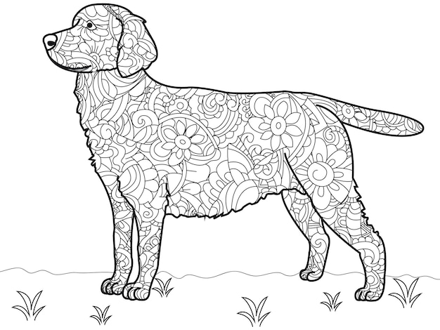 Perro labrador antiestrés libro para colorear vector