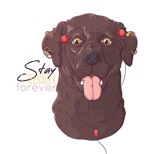 Perro labrador retriever dibujado a mano con auriculares y piercings