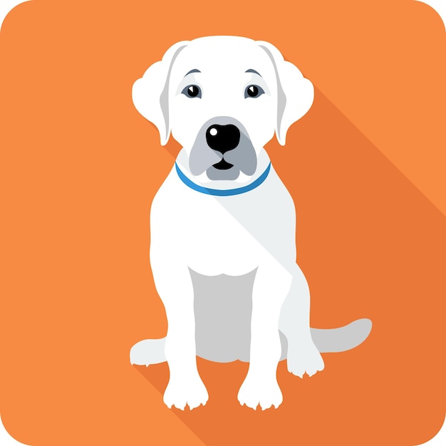 Vector perro labrador retriever sentado icono diseño plano