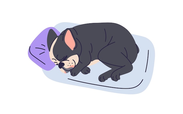 Perro lindo durmiendo, acostado en la cama de la mascota. Perrito divertido y dulce durmiendo. Perrito adorable de raza bulldog francés, soñando en la almohada, cojín de animal canino. Ilustración vectorial plana aislada en fondo blanco.