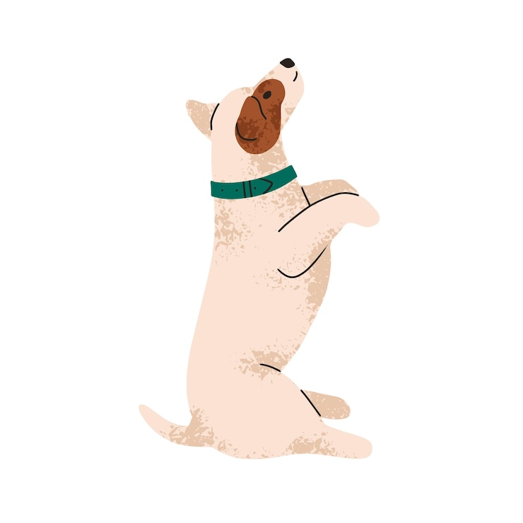 Vector perro lindo en postura de mendicidad perro gracioso de la raza jack russell terrier obediencia canina perro adorable en posición de oración realizando una orden ilustración vectorial plana aislada en fondo blanco