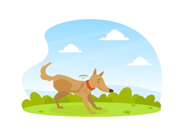 Perro lindo rascando su pata en el césped en el patio trasero en un hermoso paisaje de verano vector plano
