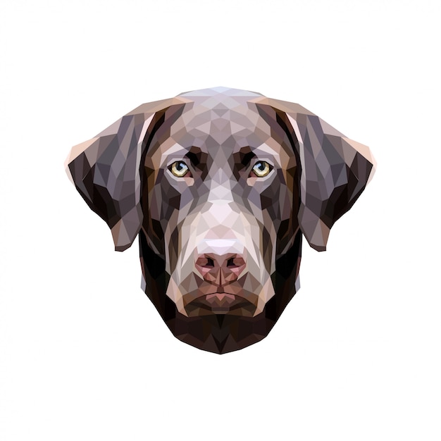 Perro Low Poly. Laboratorio de chocolate