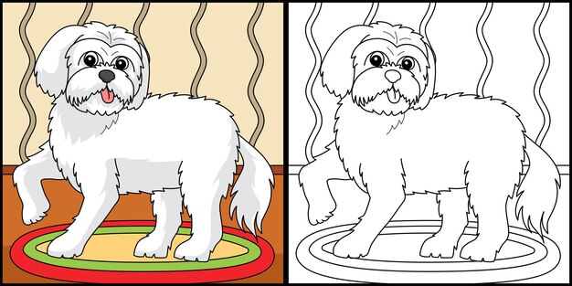 Perro Maltés Página Para Colorear Ilustración Coloreada