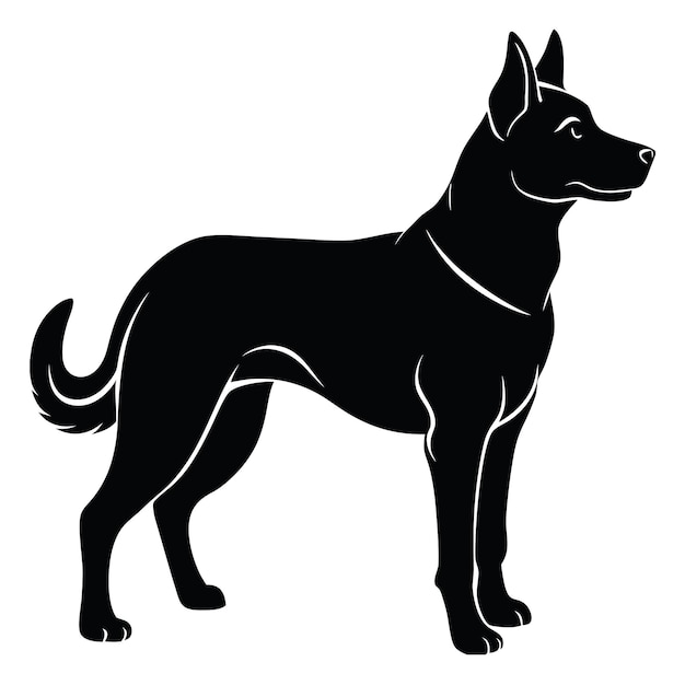 un perro negro con un collar que dice un perro