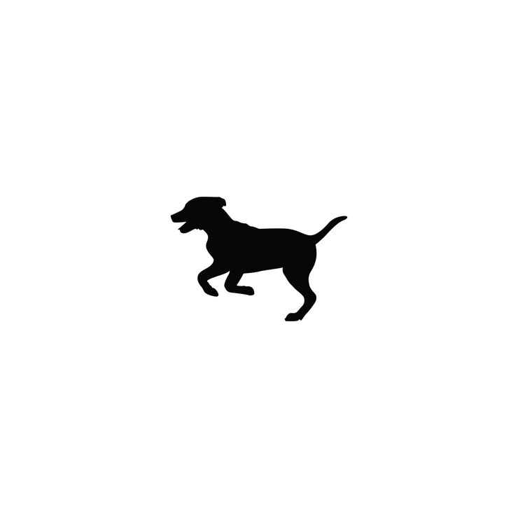 Perro negro sobre un fondo blanco Vector aislado siluetas negras de perros colección silueta de perro