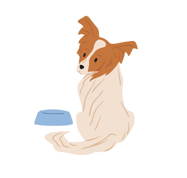 Perro papillon con orejas peludas parecidas a mariposas Espaniel de juguete continental sentado cerca del alimentador y pidiendo comida Perro de raza pura Ilustración vectorial plana de color aislada sobre fondo blanco