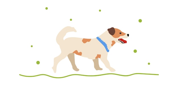Un perro de paseo. Un perro pequeño en un collar. Lindo perro vectorial. Ilustración plana