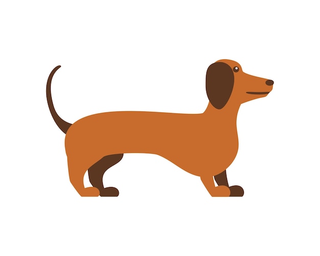 Vector perro de perro dachshund alemán