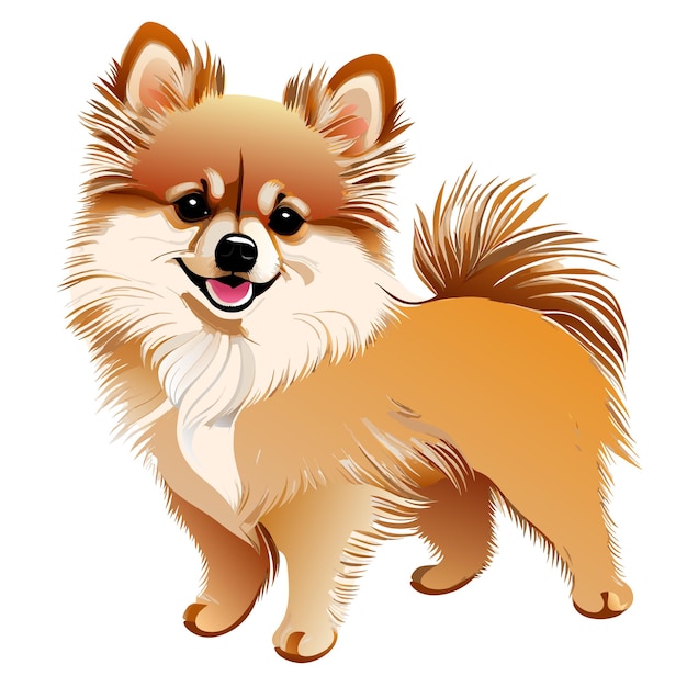 El perro Pomeranian Cute Vector