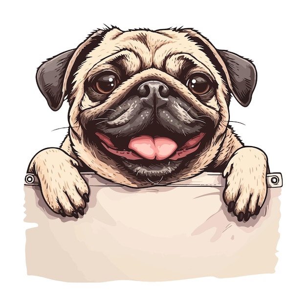 Perro pug gracioso con patas sobre una pared blanca en una ilustración vectorial de bolsillo perro gracioso sonriendo cabeza de perro linda sobre un fondo blanco