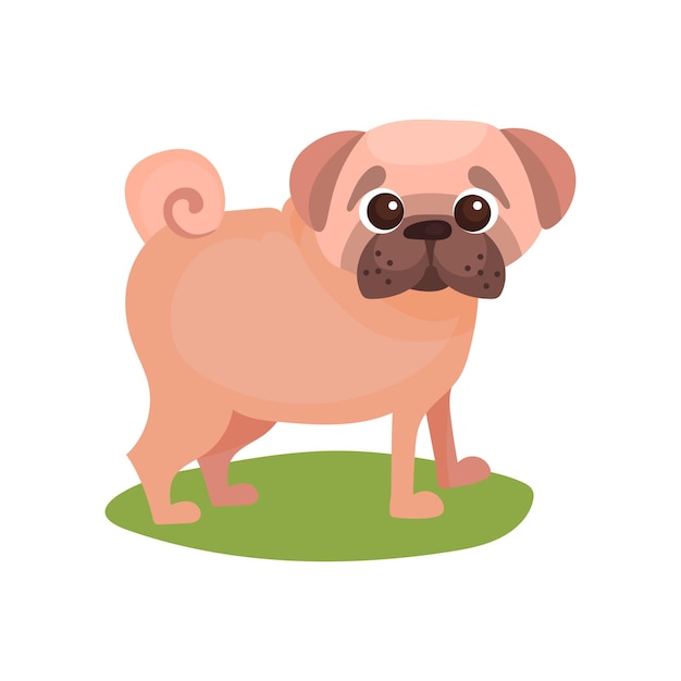 Perro pug, pie de animal doméstico de pura raza en vector colorido hierba verde ilustración sobre un fondo blanco