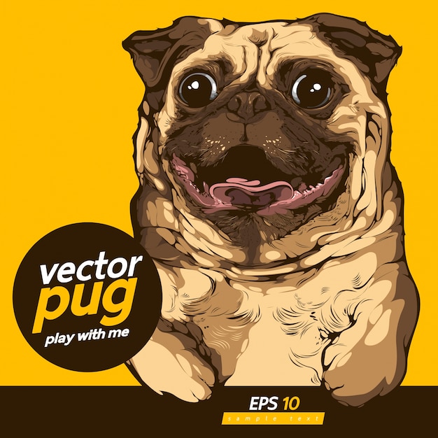 Vector perro pug