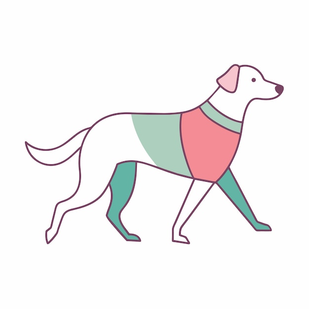 un perro que lleva un collar con un collar verde y rosa