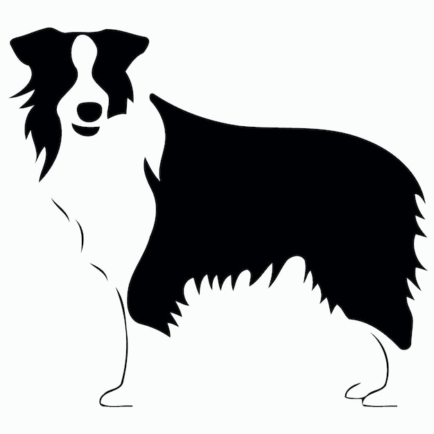 Vector perro de la raza border collie silueta en blanco y negro