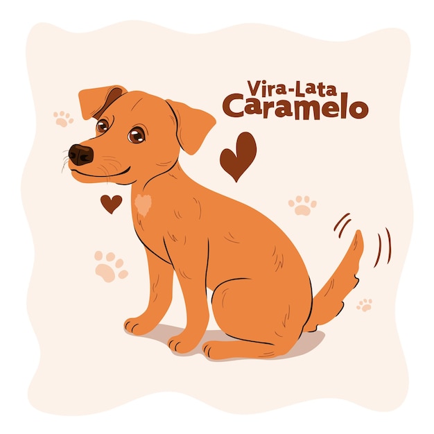 Perro de raza brasileña llamado ViraLata Caramelo Corazones y huellas