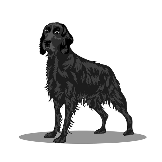 Un perro de la raza Irish Setter Ilustración vectorial sobre un fondo blanco