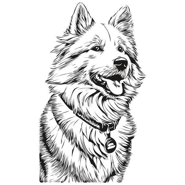 Perro samoyedo ilustración de mascota realista dibujo a mano cara blanco y negro vector mascota de raza realista