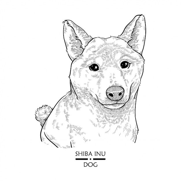 Vector perro shiba inu, ilustración vectorial