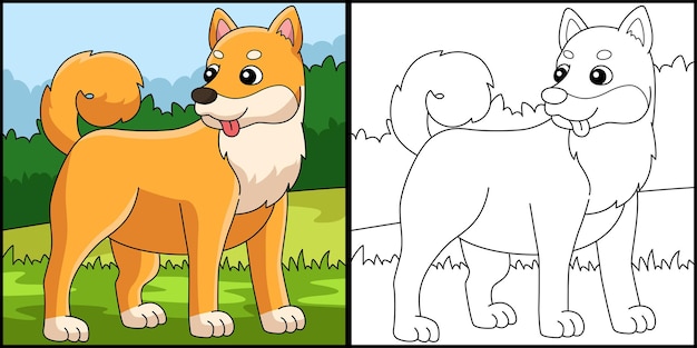 Perro Shiba Inu Página Para Colorear Ilustración Coloreada