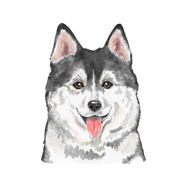 Perro Siberian Husky acuarela pintura Adorable cachorro animal aislado sobre fondo blanco Realista lindo perro retrato vector ilustración