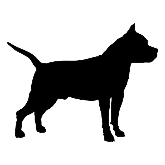 Vector el perro staffordshire bull terrier silueta de las razas de perros el logotipo del vector del monograma del perro