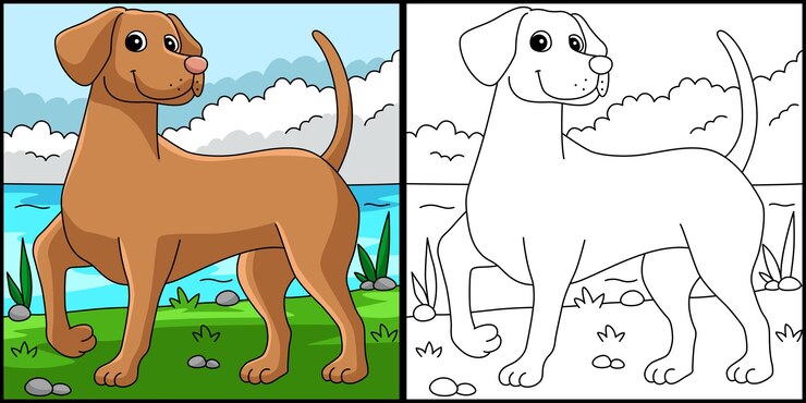 Vector perro vizsla página para colorear ilustración coloreada
