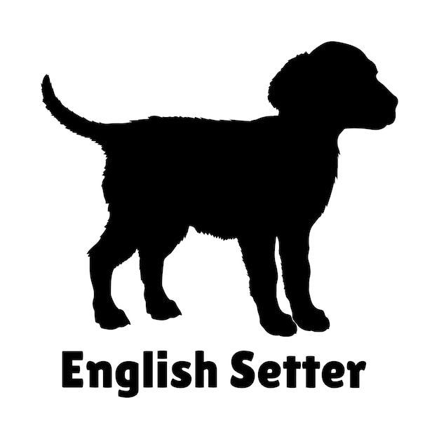 Vector perros cachorros perro setter inglés silueta perro bebé silueta razas de cachorros