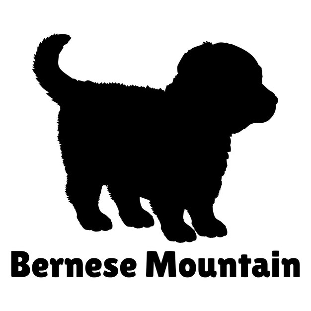 Vector perros cachorros perro silueta de la montaña bernese perro bebé silueta de las razas de cachorros