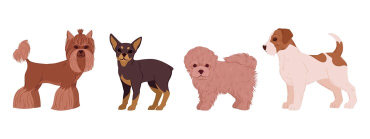 Vector perros decorativos de dibujos animados cute little yorkshire terrier toy terrier bichon frise y jack russell terrier cachorros felices mascotas domésticas plano vector ilustración conjunto