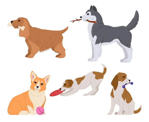 Perros de dibujos animados con juguetes Juego activo corgi husky spaniel y cachorros beagle mascotas lindas conjunto de ilustración de vector plano
