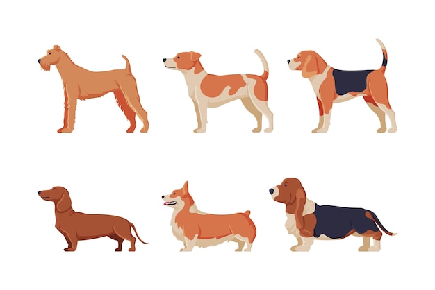 Perros de diferentes razas establecidos vista lateral de animales de mascota de pura raza ilustración vectorial de dibujos animados