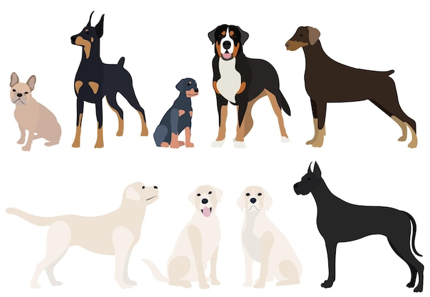 Perros establecer diseño plano en vector de fondo blanco