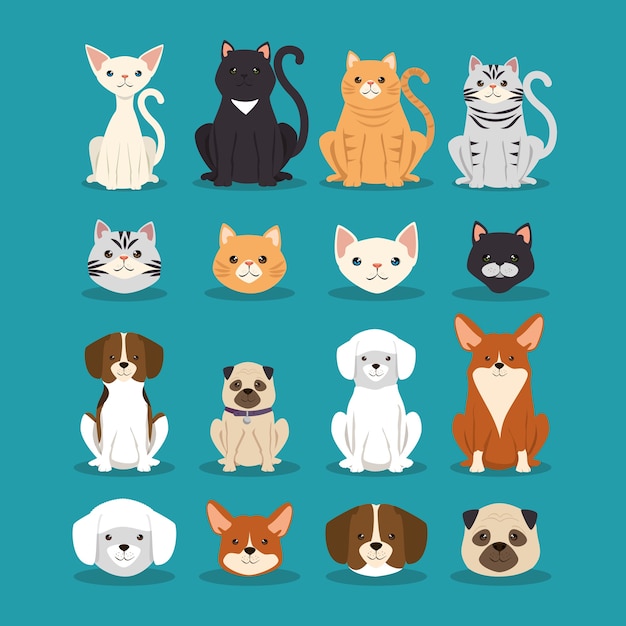 Perros y gatos mascotas personajes