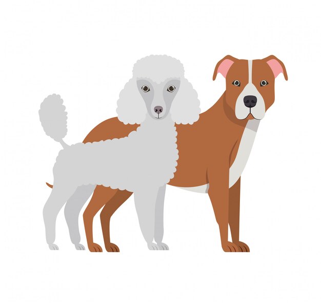 Vector perros lindos y adorables en blanco