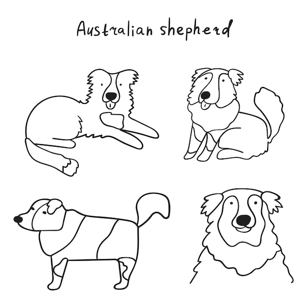 Perros pastores australianos. Conjunto de ilustraciones vectoriales de contorno.